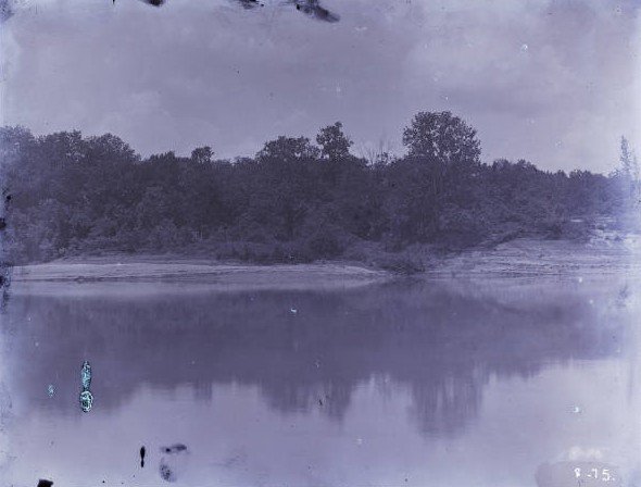 The Tombigbee River below Moscow Landing in 1888, with wooded banks