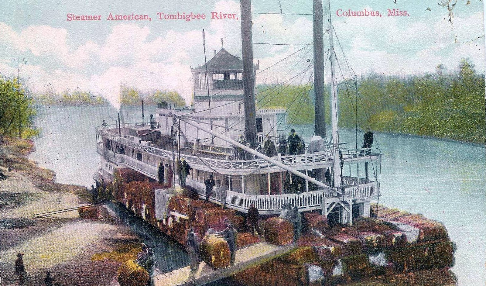 Vintage colored postcard of a Tombigbee River steamboat with twin smokestacks loaded with cotton bales at a riverbank landing